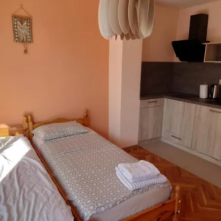 Apartment Yanov's